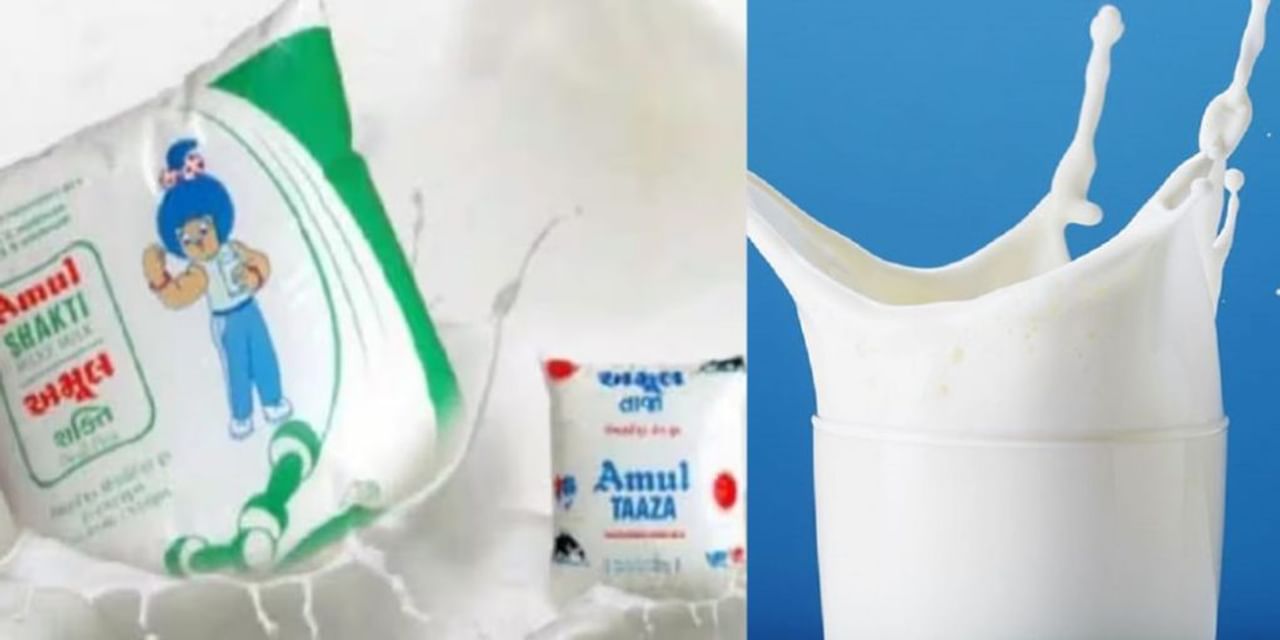 Amul अमेरिका में बेचेगा ताजा दूध, Milk Producers की संस्था से किया करार