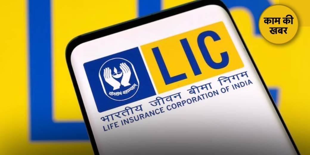 LIC के हाथ से फिसल रहा बीमा बाजार?