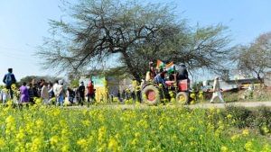 Why Punjab farmers object to cess-free agri-transactions?