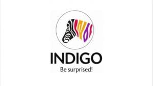 Indigo Paints IPO subscribed 117 times; key things you should know