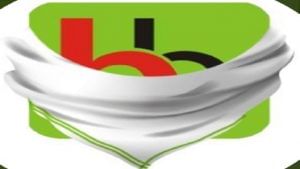 Tata Digital acquires majority stake in BigBasket