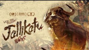 Jallikattu fails to make the cut at Oscars