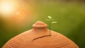 Seven investment tips for beginners