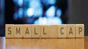 Consider these factors before investing in small-cap funds