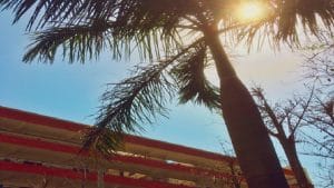 India braces for above normal summer, some relief for the south