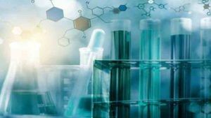 These stocks can be a catalyst to your portfolio, check them out