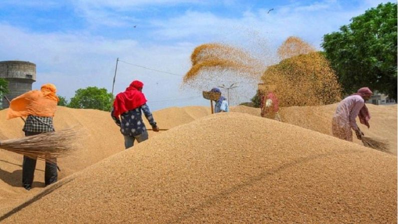 MSP: Rs 149 crore transferred to bank accounts of farmers