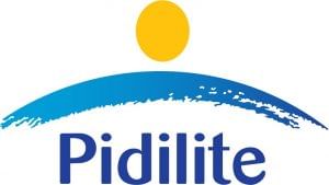 Pidilite Industries Q4 net profit nearly doubles to Rs 307 crore