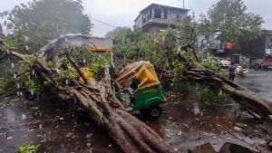 Cyclone Tauktae death toll climbs to 45 in Gujarat: Official
