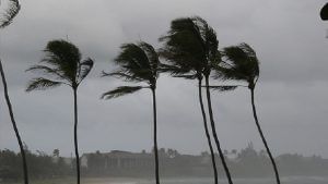Cyclone Yaas to make landfall today, more than 12 lakh people evacuated