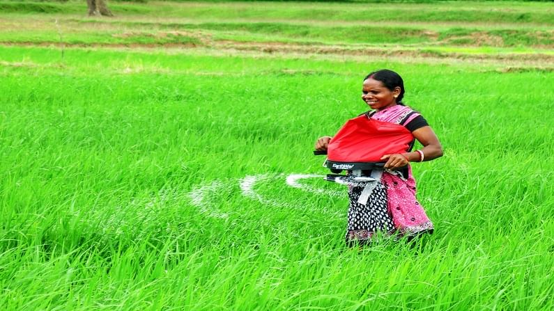 Fertiliser volume expected to be marginally down in FY22: report
