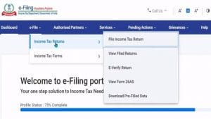 Nirmala Sitharaman gives Infosys till September 15 to fix e-filing portal glitches