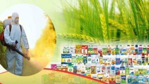 India Pesticides issue opens today; should you subscribe?