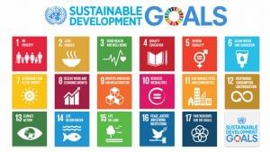 Localisation of SDGs imperative to achieve 2030 agenda: India at United Nations