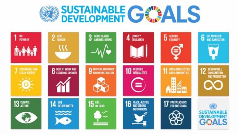 NITI Aayog Launches Sustainable Development Goal Index Check Details   NITI Aayog SDG Image 768x432 