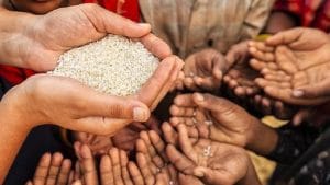 9.27 lakh severely acute malnourished children identified till November last year: RTI