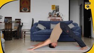 What Adho Mukha Svanasana yogasana teaches about personal finance