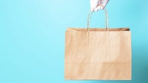 Consumer court asks retailer to pay Rs 1,500 to customer for charging Rs 10 for carry bag