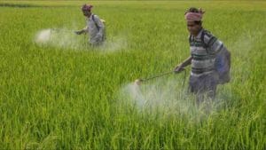 Here’s your listing day strategy for India Pesticides
