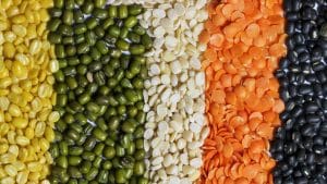 IPGA asks govt to take steps to keep retail prices of pulses in sync with wholesale rates