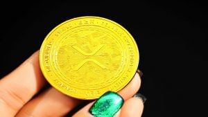 Cryptocurrency news: Binance Coin up by 13.1%, Polkadot increases by 6.6%