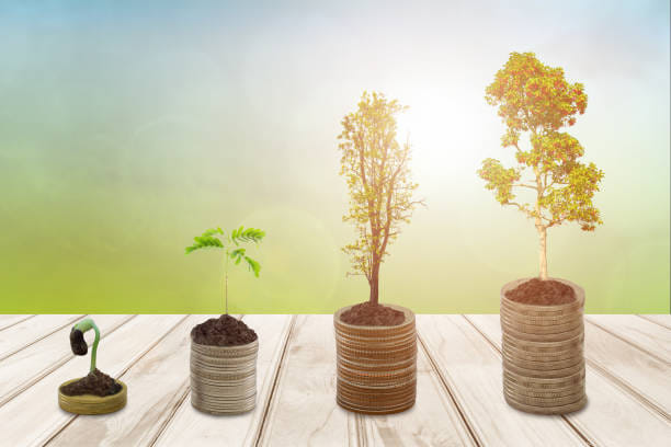 9 investment tips for stock market beginners