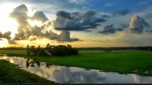 मॉनसून बंगाल की खाड़ी के दक्षिणी भाग और निकोबार द्वीप समूह तक पहुंचा: IMD