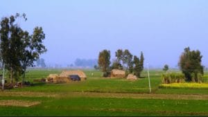 SBI study shows rural areas have more accounts, but far less deposits than cities