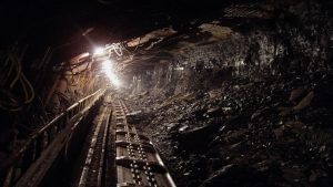 Coal India extends gains; hits 52-week high