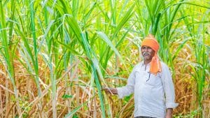 Indian farmers earn more as farm labourers, suggests NSSO Data