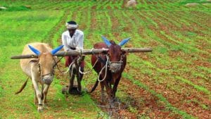 Small farmers will have to be supported with MSP or a better alternative