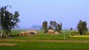 Digital literacy in rural India