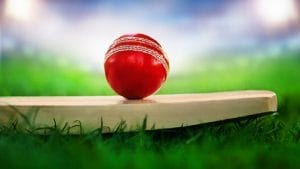 Low price tag, high performance: A look at Indian players who shone in the T20 tournament