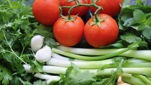 Increasing prices of vegetables; 9 points to understand why