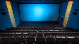 How is multiplex industry moving towards profit?