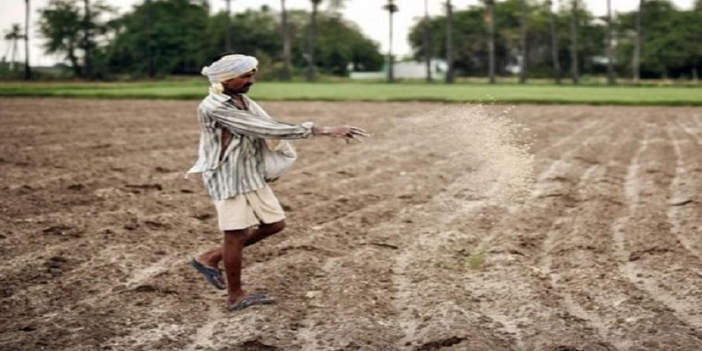 Just a dream: Trouble in farmland