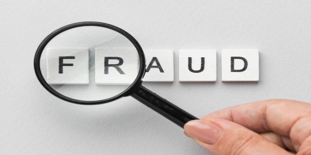 Can fraud companies be detected in advance?