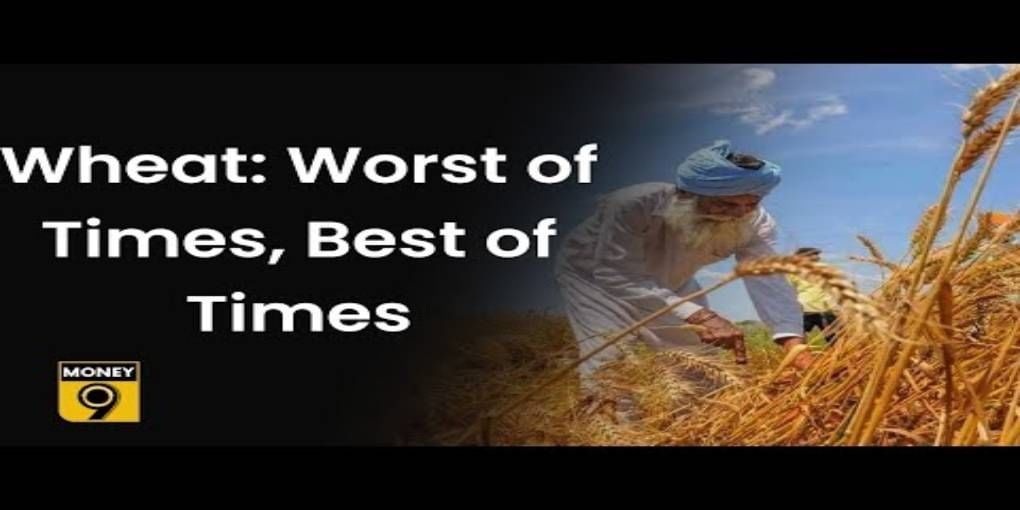 Why can't India freely export wheat?