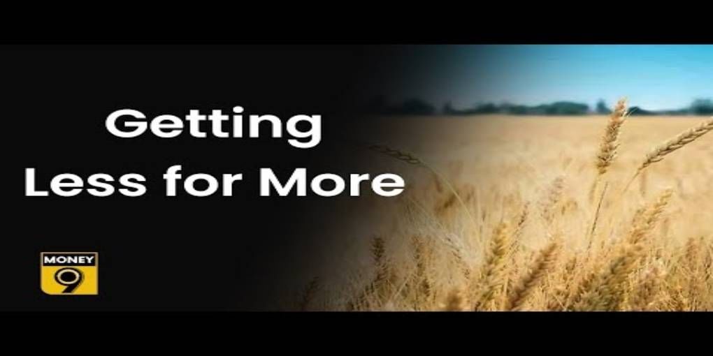 Wheat floor price increase forcing FMCG companies to cut small pack biscuits' weight