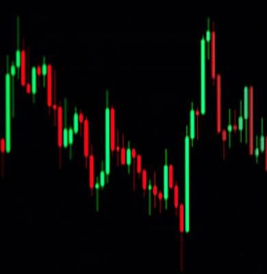 After big rally, profit-booking dominated the market