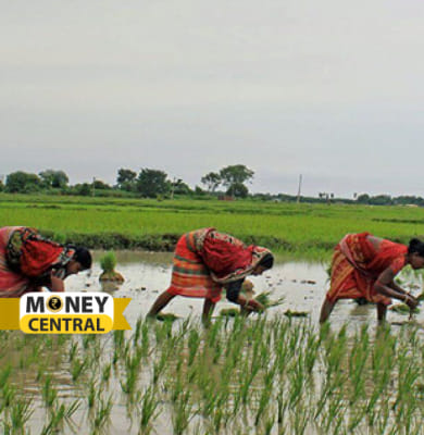 Poor rainfall to have an adverse impact on rural India