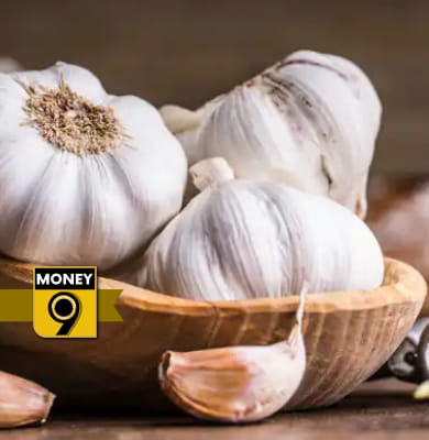 Cheaper garlic only for few more days? How much has garlic price decreased?