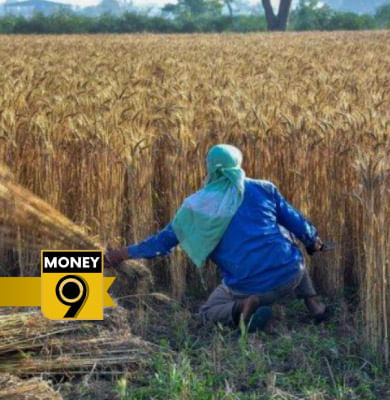 Costly imports, a challenge for the government!