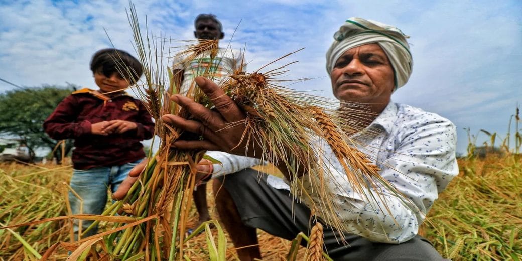 Encourage millet, pulses production; rethink rice, wheat MSP: NITI panel