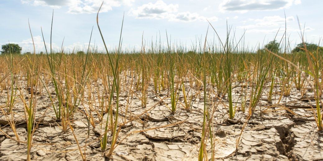 In May, cruel sun promises April rerun, warns met office