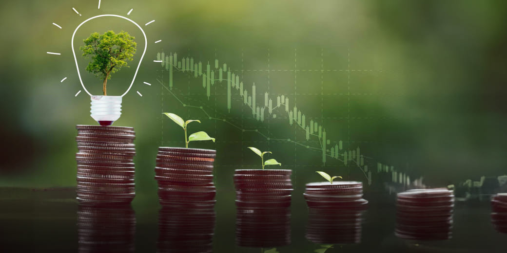 Which renewable energy, battery stocks you should buy?