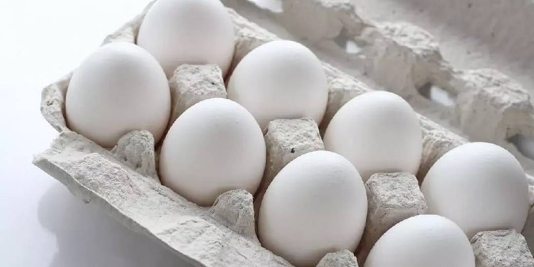 Eggs to get costlier this winter