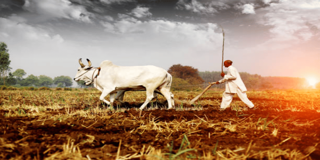 FY24 agricultural sector growth rate to fall to seven year low: Kantar
