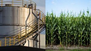 चीनी उद्योग की एथनॉल की खरीद कीमतों में संशोधन की मांग